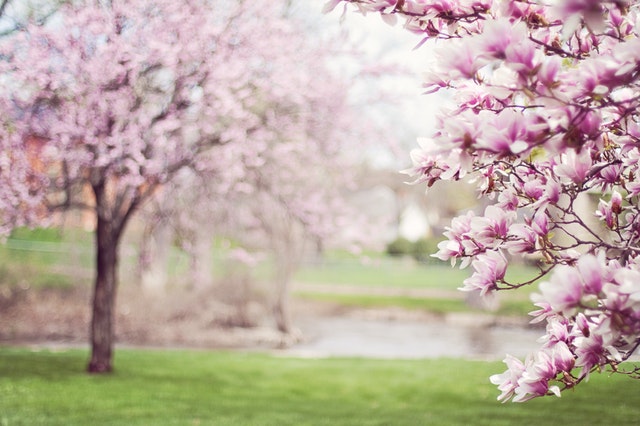 Spring is Here!